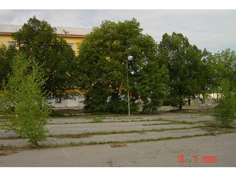 Foto 91